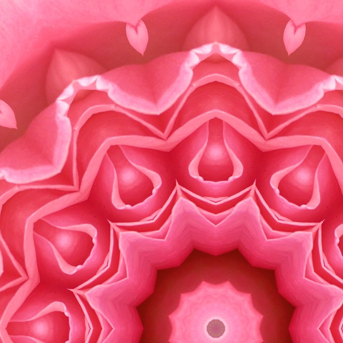 Cryptoportals_'s tweet photo. #026 Rosa #opensea #nftart #cryptoportals #nftartist https://t.co/Zqaufwql1z https://t.co/D8uaJ7RC6s