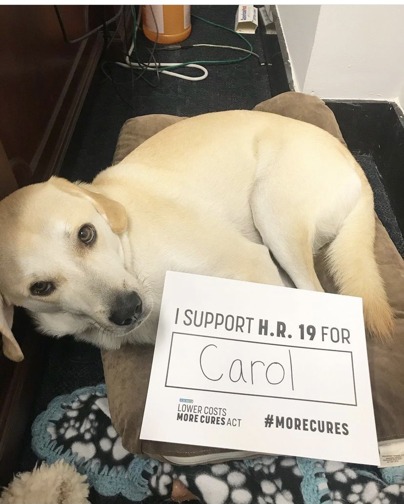 jenks19's tweet photo. Friendly reminder that we should lower the cost of prescription drugs without limiting access to new and innovative cures. #hr19 #tedonthehill #morecures https://t.co/SHUwTwuARo