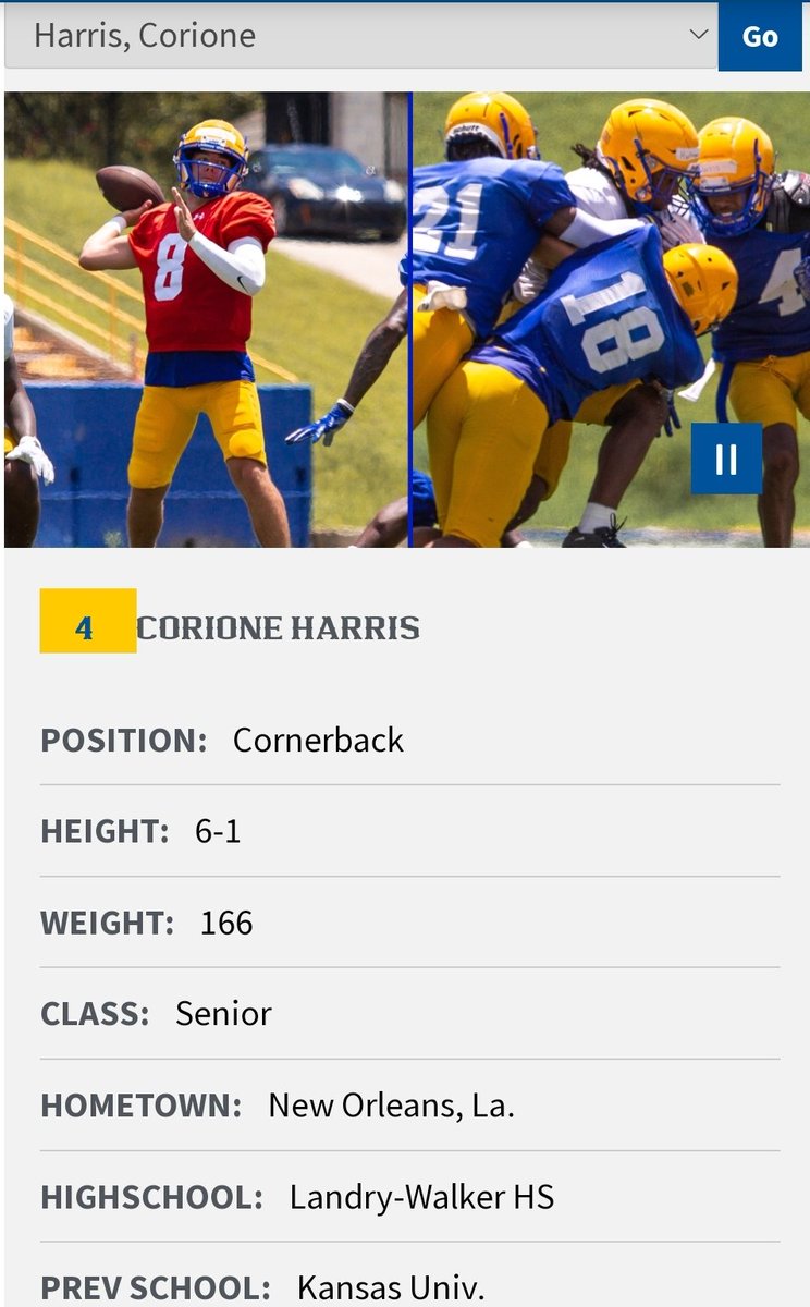 FarrellPortal tweet media