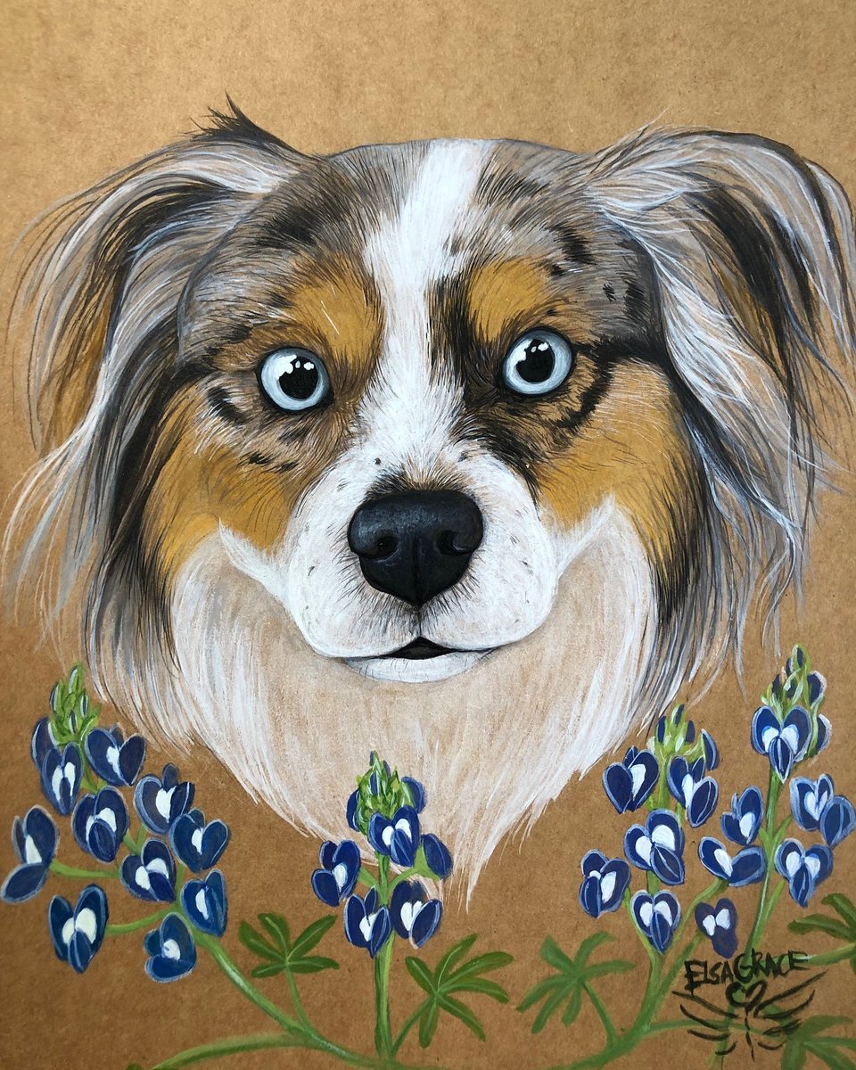 ElsaGraceArt's tweet photo. Pet portrait commissions still available ❤ https://t.co/HZ5NEe6XnE
