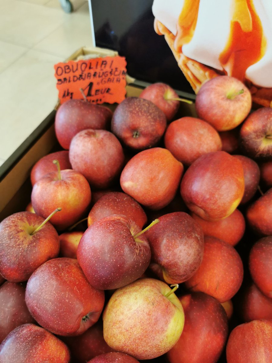 IFotografija's tweet photo. The best #aple 🍎 in city of #Kėdainiai name of #GALA price 1€/kg https://t.co/a5upSDIaDl