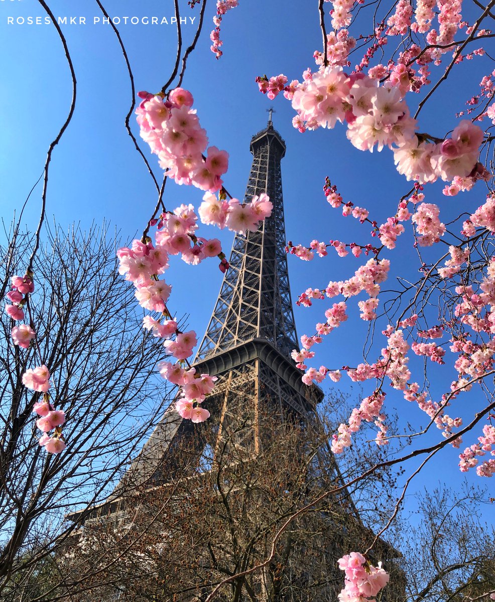 roses_mkr's tweet photo. Today the @LaTourEiffel celebrates 133 years since the inauguration on March 31, 1889.
Happy 133 anniversary for being the most iconic monument. Everyone from all around the world travels just to admire you. #EiffelTowerDay https://t.co/D0Qq6ajUj5