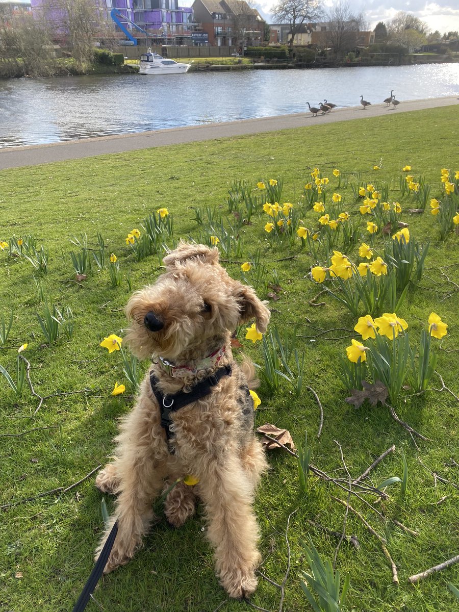 TrudiMCameron's tweet photo. A bit of sunshine in between all the showers #theembankment #rivertrent https://t.co/5P08Pm7GlG