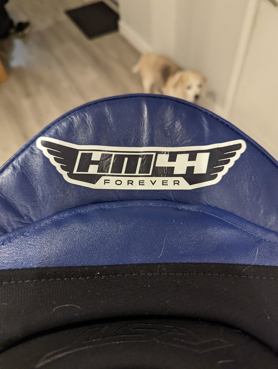 HarryCook06's tweet photo. #HM44 Forever 🧡 This year is for you Hugo Millan https://t.co/vVdwf20hiC