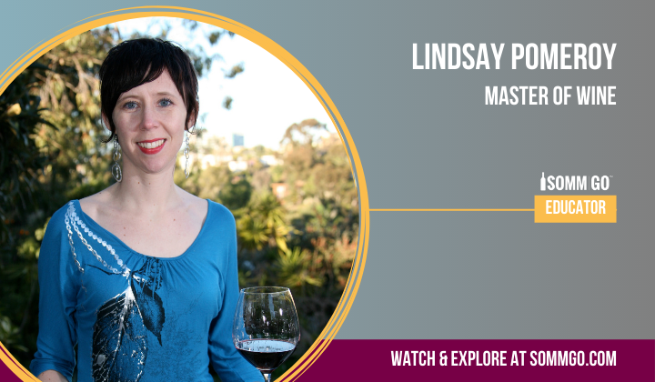 SommCon's tweet photo. Relish in the (virtual) presence and knowledge of San Diego's first #MasterOfWine, Lindsay Pomeroy during her #studytips session on #SommGo. Bust out your note cards for this one! Included in our #WomeninWine Bundle at https://t.co/PlM6rW6Vjl #wineeducation #sommelier https://t.co/6Uv3osBnyM