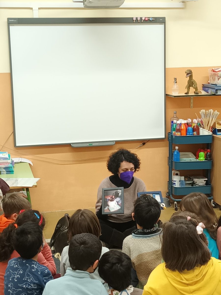 josetoca1976's tweet photo. Aquesta tarda hem compartit una bona estona amb els alumnes de 1er i de 3er de primària de l'Escola Bernat de Riudemeia d'Argentona amb la nostra estimada @CintaArasa  i les lectures "Bernat, el gat afamat" i "Les fades son calbes" de @jollibre @SANTILLANA_es https://t.co/1khmG4CsJ7