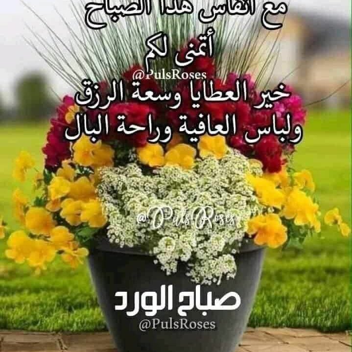 #صورة_ملف_شخصي_جديدة