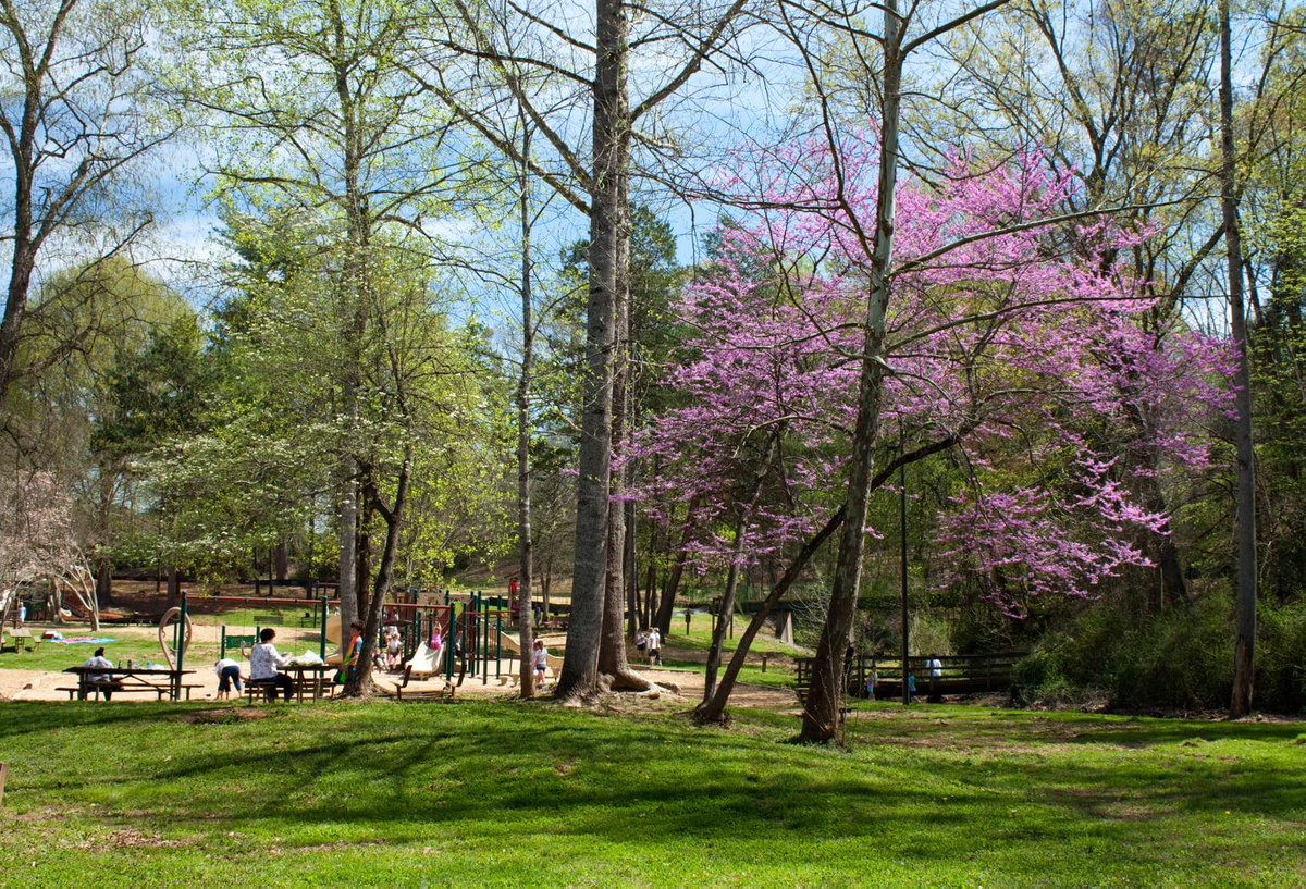 CityofHickory's tweet photo. Beginning April 1, Hickory parks will be open daily from 7 a.m. to 9 p.m. To maximize available daylight, the City of Hickory seasonally changes the hours of operation for all city-owned parks. For more info about Hickory parks, call 828-322-7046 or visit https://t.co/5DkzoJfIGR. https://t.co/nChItEduVD