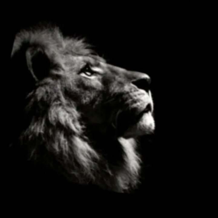 gmailco52262984's tweet photo. #صورة_ملف_شخصي_جديدة https://t.co/CuYUtD552c