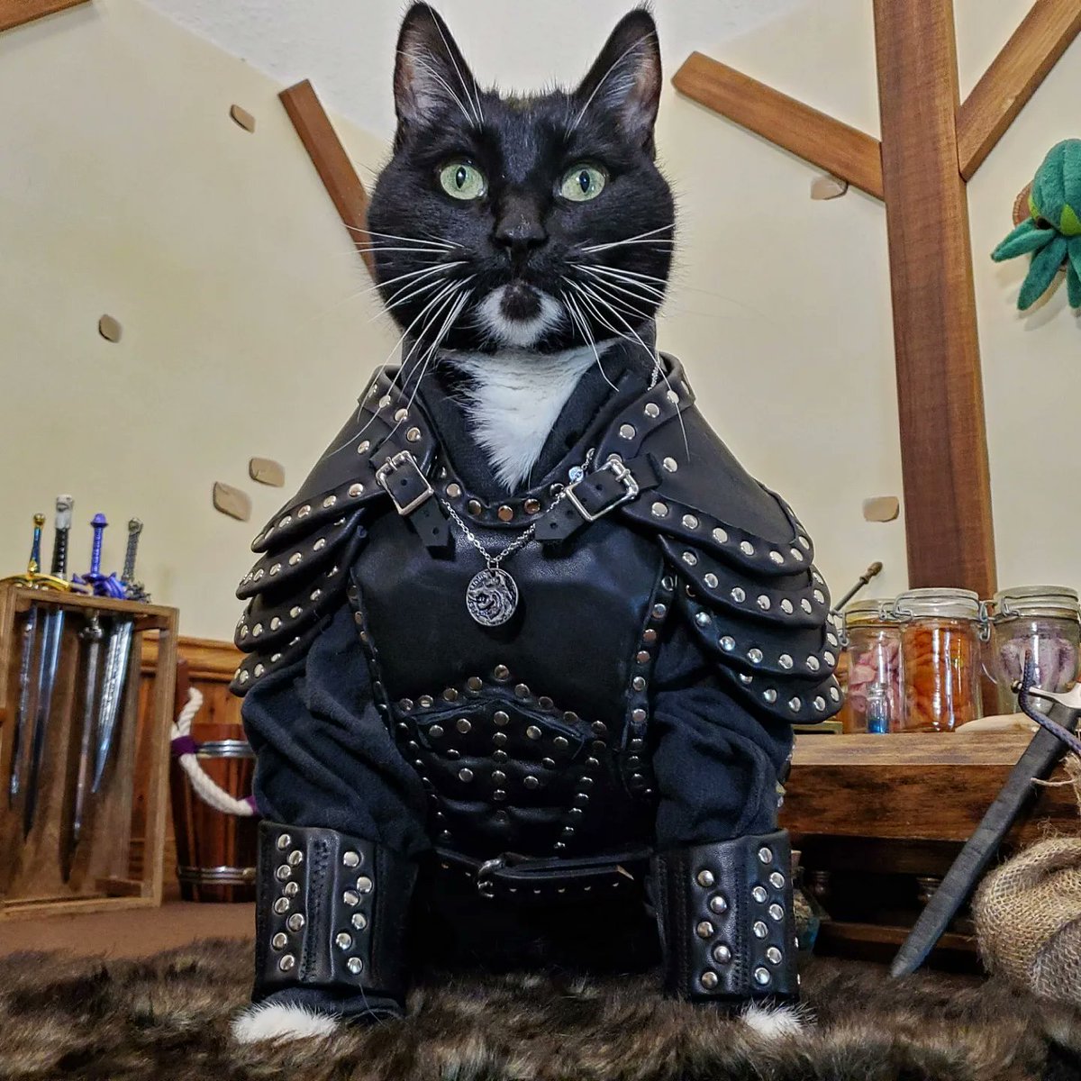 Cat_Cosplay's tweet photo. "Hrmmm... meow." ~Geralt of Rivia

#TheWitcher https://t.co/1cDN0tDkmA