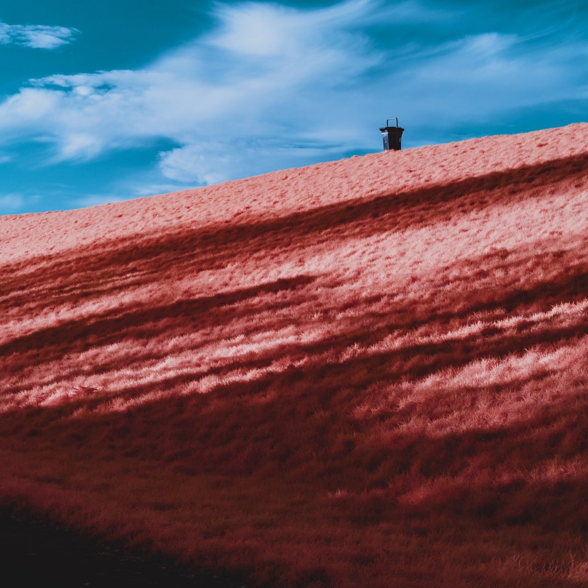 Sam Aleums tweet media