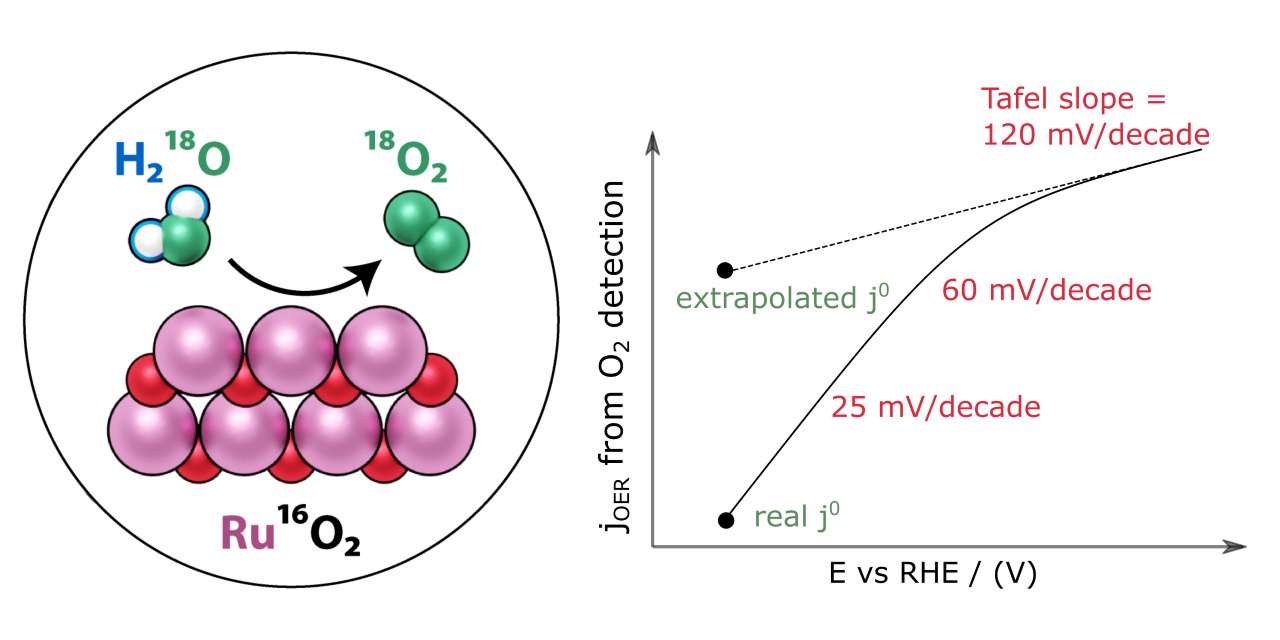 Reshma R Rao on X: In the first article of the series, we use EC-MS to  explore the low overpotential regime for water oxidation on ruthenium  oxide. This reveals a previously unobserved