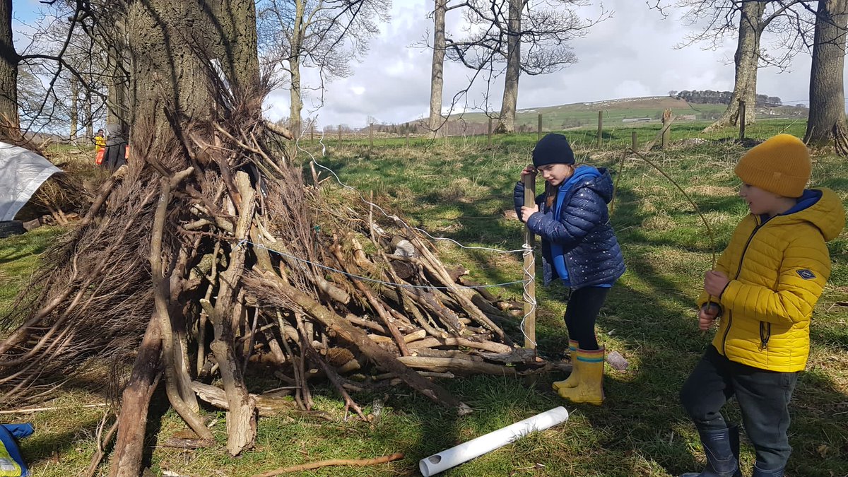 Boyle & Petyt tweet media