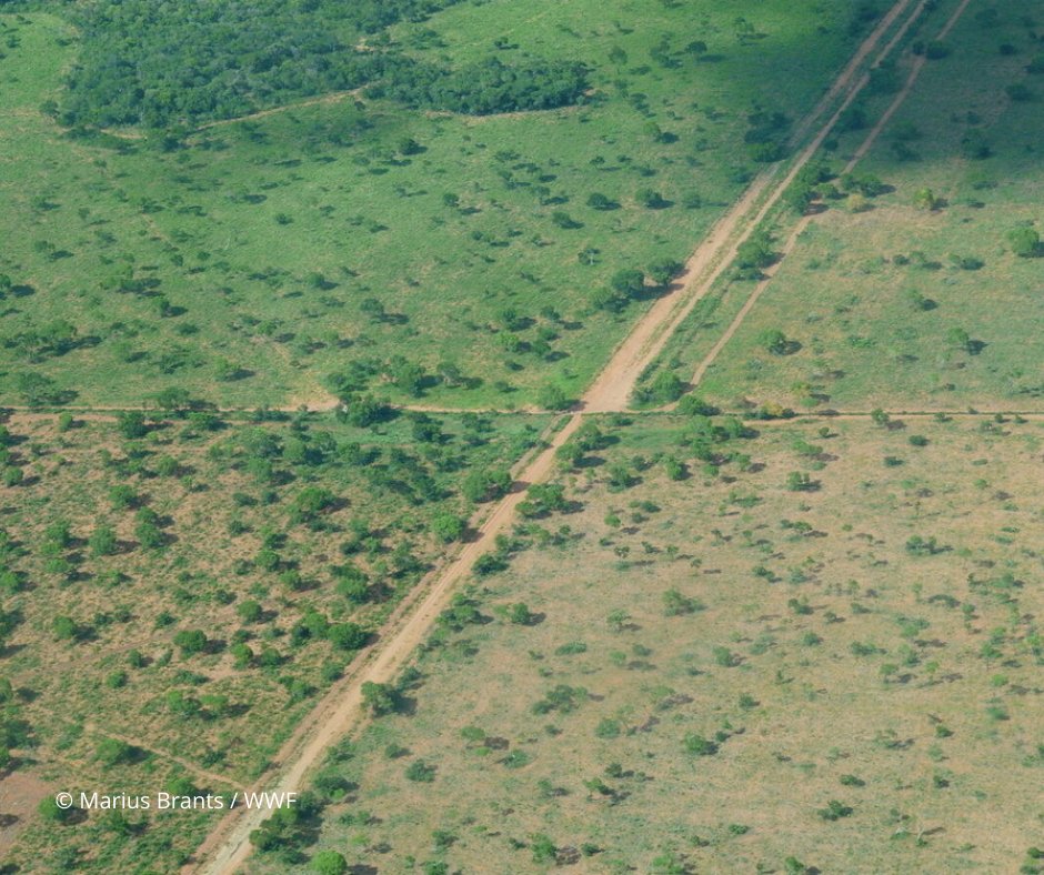 WWFColombia's tweet photo. El fracking afectaría los bosques a gran escala, debido a la cantidad de área que debe ser despejada para su implementación. Esto causaría fragmentación de hábitats y erosión del suelo. #ElFrackingNoVa https://t.co/6WDWetEWAK
