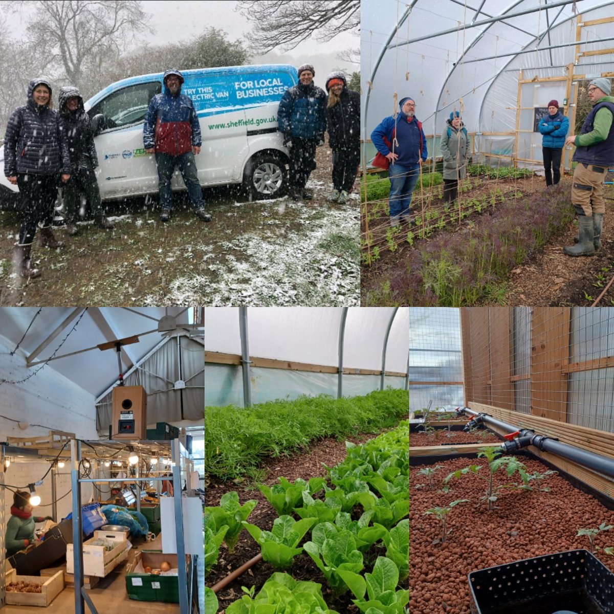 Rowan Longhurst (@rowanlonghurst) on Twitter photo A site visit in all the elements! Thank you <a href="/RegatherCoop/">Regather Cooperative</a> <a href="/RegatherGareth/">Gareth Roberts</a> and #FranHalsall #Headgrower Doug for a interesting and inciteful journey through the local food system in #Sheffield I hope we can help! #BetterParks #localfood #groworganic <a href="/stuartjohnt/">Stuart Turner</a> @ParksSheffield A site visit in all the elements! Thank you <a href="/RegatherCoop/">Regather Cooperative</a> <a href="/RegatherGareth/">Gareth Roberts</a> and #FranHalsall #Headgrower Doug for a interesting and inciteful journey through the local food system in #Sheffield I hope we can help! #BetterParks #localfood #groworganic <a href="/stuartjohnt/">Stuart Turner</a> @ParksSheffield
