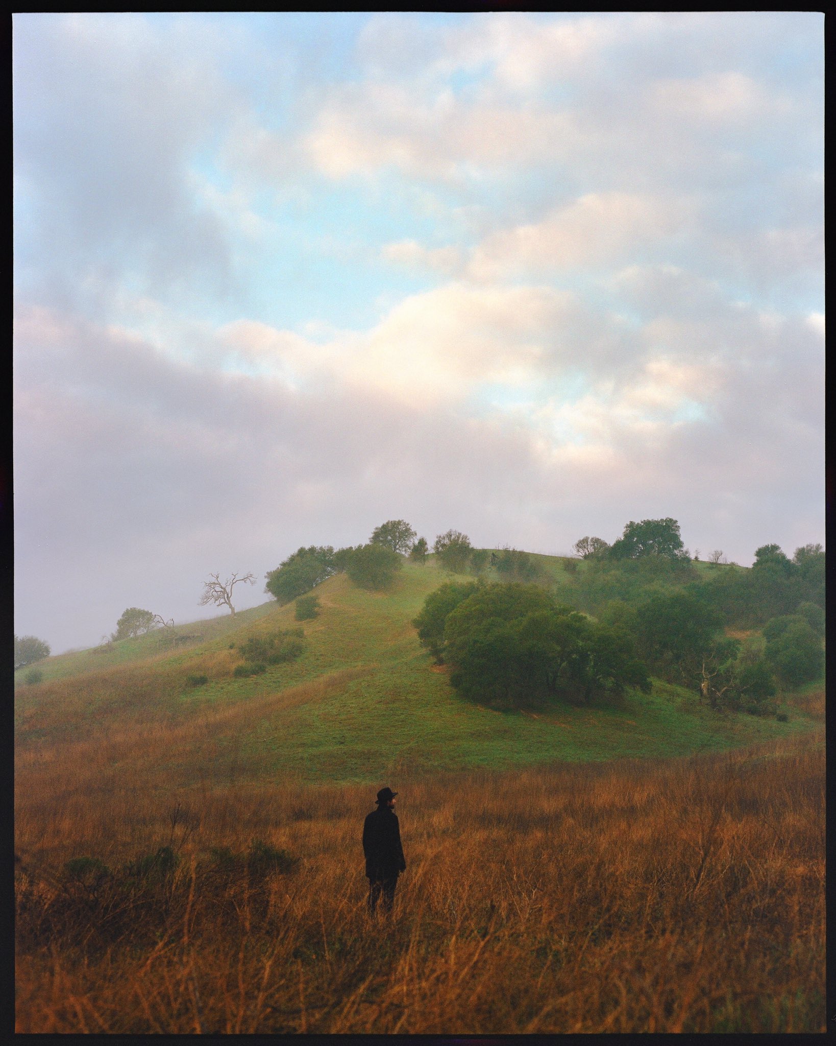 nick rufo on Twitter: 