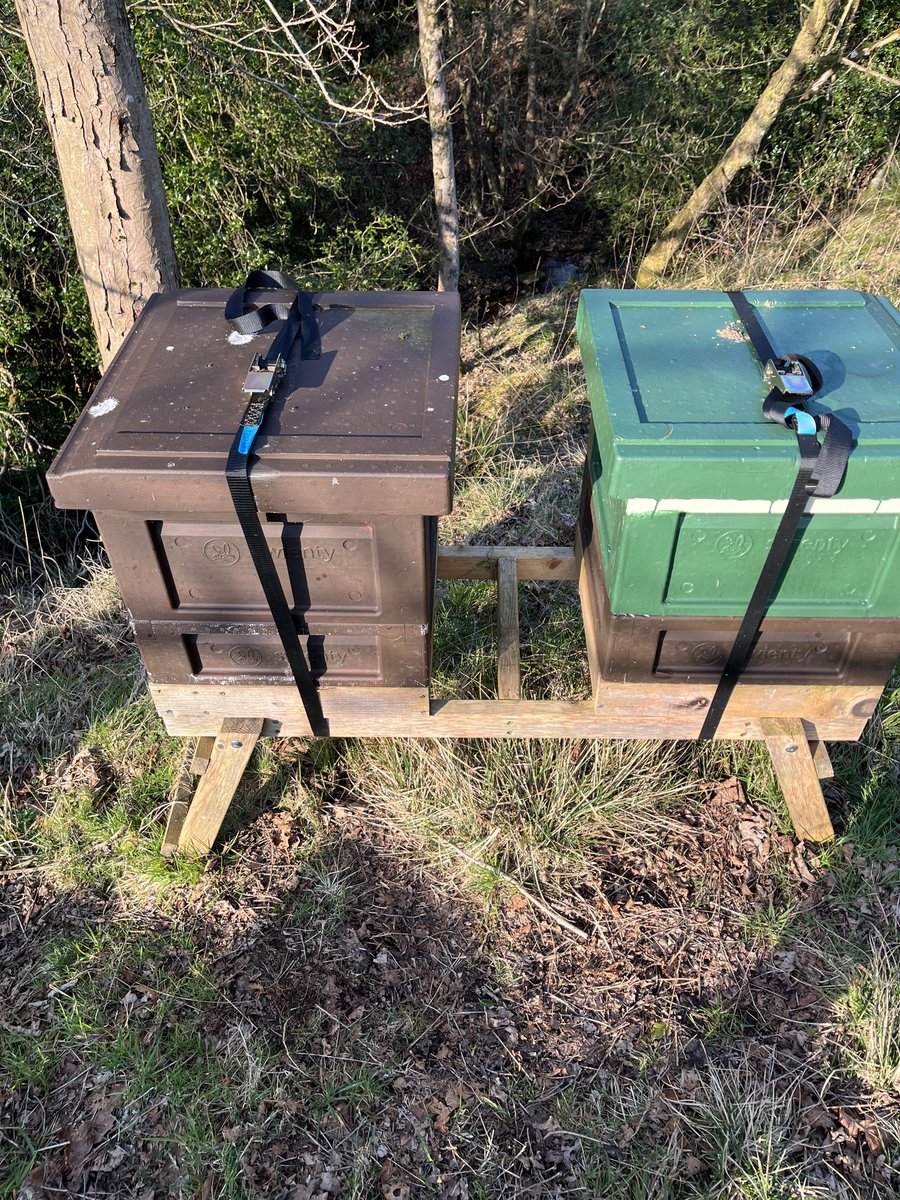 jendkis's tweet photo. My very first two hives bought off the same bee keeper more than 3 years ago. One very sweet natured and calm , called Sweet ( brown hive ) and the other fiery and bad tempered called Nasty. Love you both 😍 🐝 🐝 🐝 https://t.co/SdlHM9DtEC