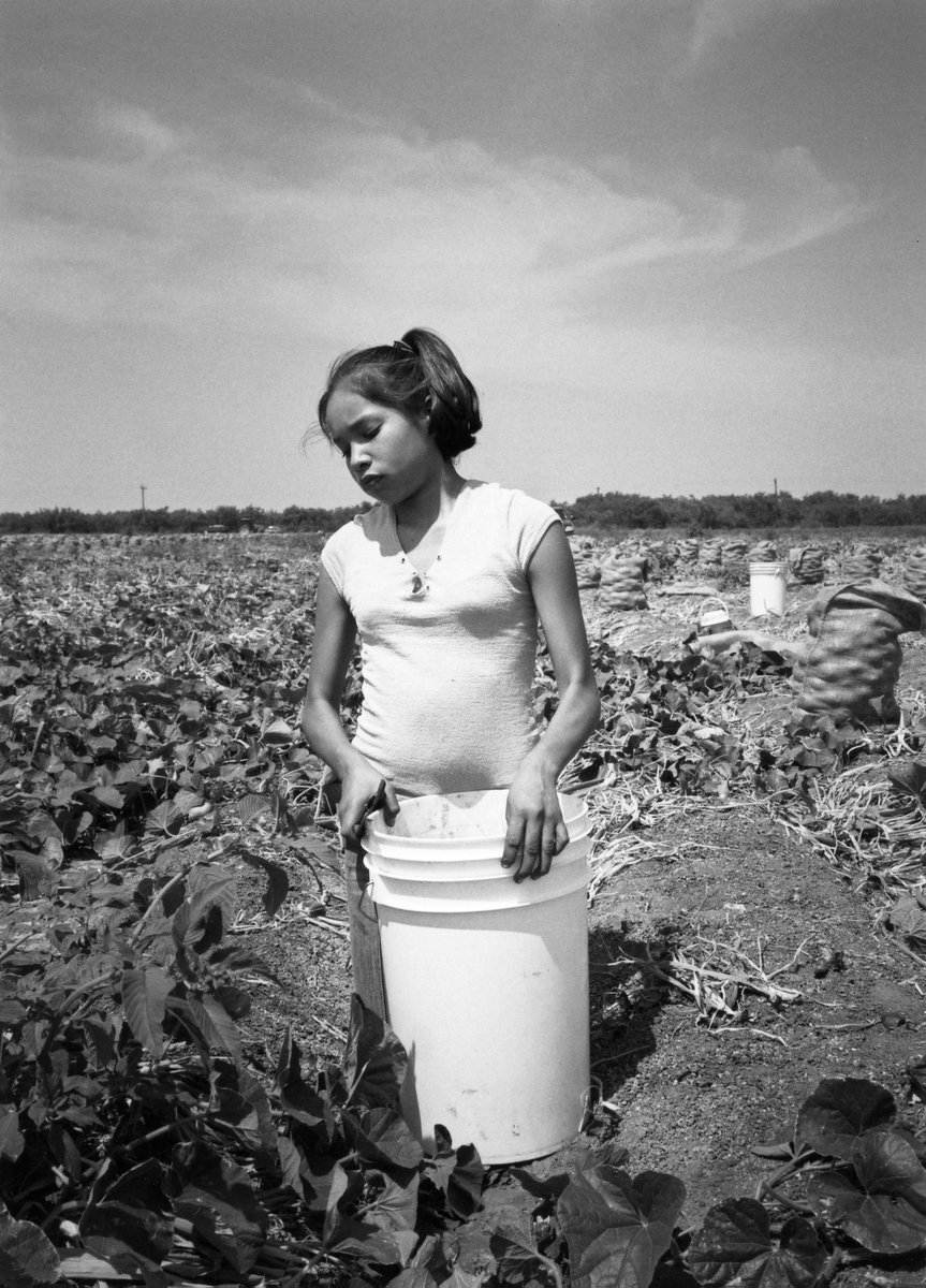 ChildLaborCLC's tweet photo. Today is Cesar Chavez day. The amazing union leader worked tirelessly to improve the lives of US farmworkers. Today, we work to improve protections for child farmworkers, allowed by US #ChildLabor law to work unlimited hours (as long as they are not missing school). https://t.co/HshV7RksbF