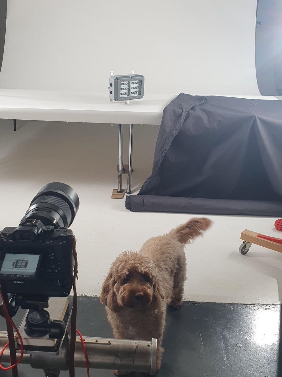 RaytecHazardous's tweet photo. *** Studio Day ***
We have new &amp; exciting things to come! Over the last couple of days, we’ve been photographing all our hazardous area &amp; industrial products. Keep an eye out - new images arriving on our website soon. Thanks to @DanAzizPhoto &amp; his K9 helper 😊 https://t.co/z0XZxSeQHh