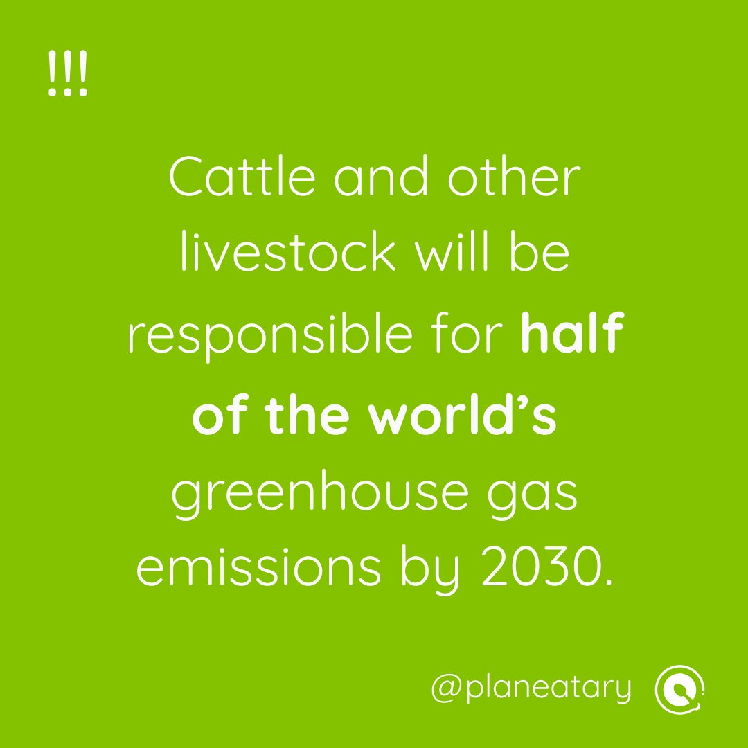 planeatary's tweet photo. To feed the world and save our planet we have to eat less animal products and more fruits, vegetables and nuts. Start eating healthy and sustainable by using our soon to be published app PLANEATARY! 

#ThinkPlanetary #PlanetEarth #HealthyLiving https://t.co/xPzijuIJFq