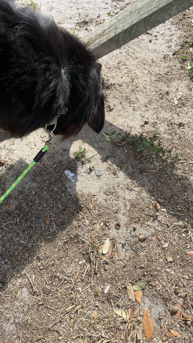 barbiedoll_eyw's tweet photo. Crazy!  Stopped for a break and Kdee finds #luckymoney #roadtrip #keywestorbust https://t.co/Rq3FTpq27M