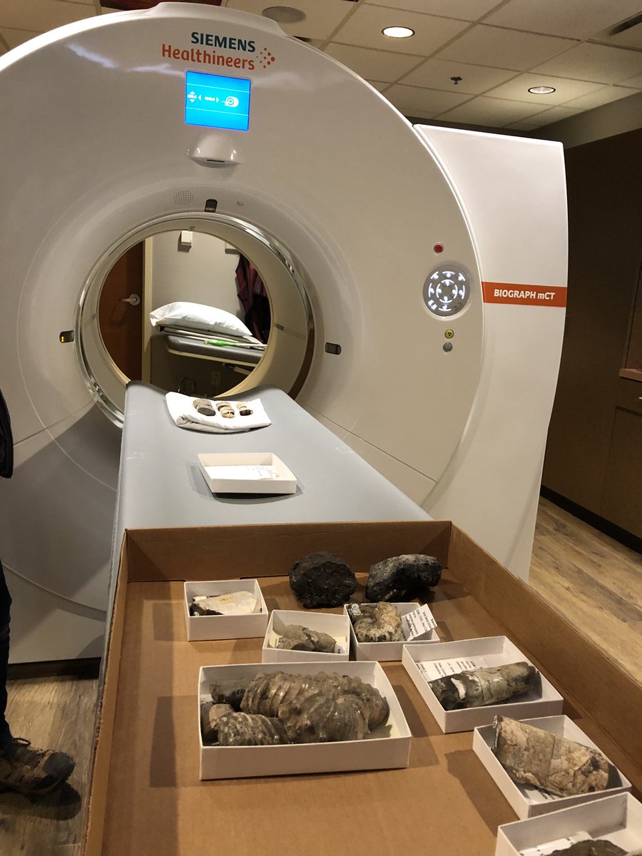Dr. Sarah W. Keenan (@sarkeekee) on Twitter photo CT scanned some <a href="/SDSMT_GeoMuseum/">Museum of Geology</a> ammonite fossils last night! Thanks to <a href="/_monumenthealth/">Monument Health</a> for helping us collect data nondestructively for student research! 🐌🦑🐙 #SDSMT CT scanned some <a href="/SDSMT_GeoMuseum/">Museum of Geology</a> ammonite fossils last night! Thanks to <a href="/_monumenthealth/">Monument Health</a> for helping us collect data nondestructively for student research! 🐌🦑🐙 #SDSMT
