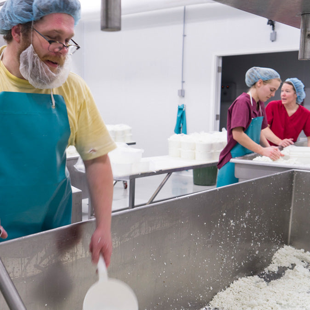 Monforte is hiring! We’ve found that folks in our food circle are the best to work with, so if you’re ready to learn new skills or start a new craft, come join our team!
See full descriptions here: monforteonline.ca/pages/job-oppo…
🧀💪💵

#hiring #cheesemaker #artisanfood #artisinalcheese
