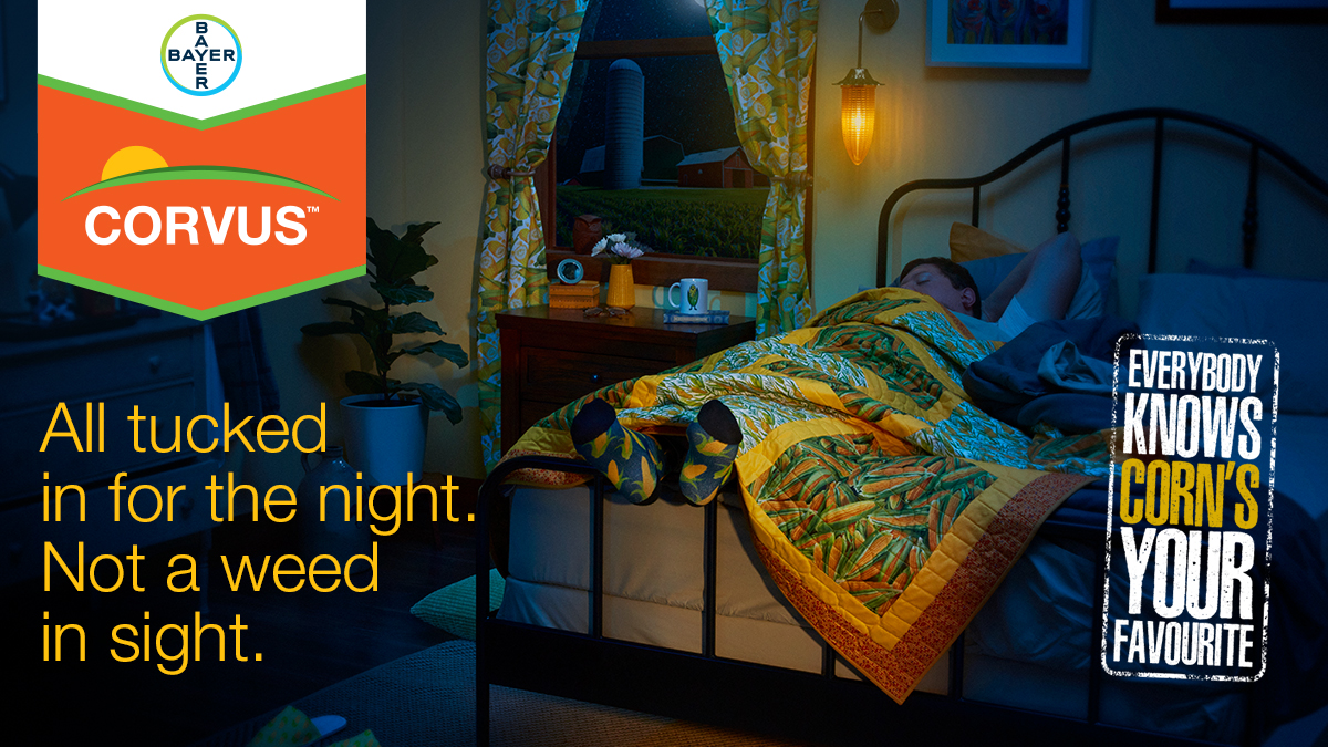 Bayer4CropsCA's tweet photo. #EastCdnAg Sleep well with #Corvus herbicide– knowing your corn crop is weed free. 😴 Enjoy excellent early season weed control along with flexible application timing and tank mix options. https://t.co/TQpIzK2lPQ #CleanCornFields 🌽 https://t.co/3LQdfbrcf8