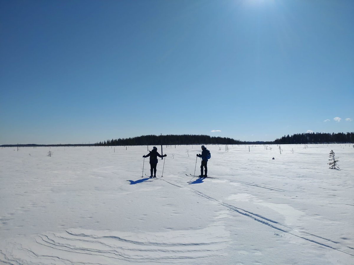 TimoKumpula1's tweet photo. Last weekend relaxing #Landmod project recreation day in #Patvinsuo national park. @MiguelVillosPe @UEFGeoHistory https://t.co/ifAP0aqN4Y