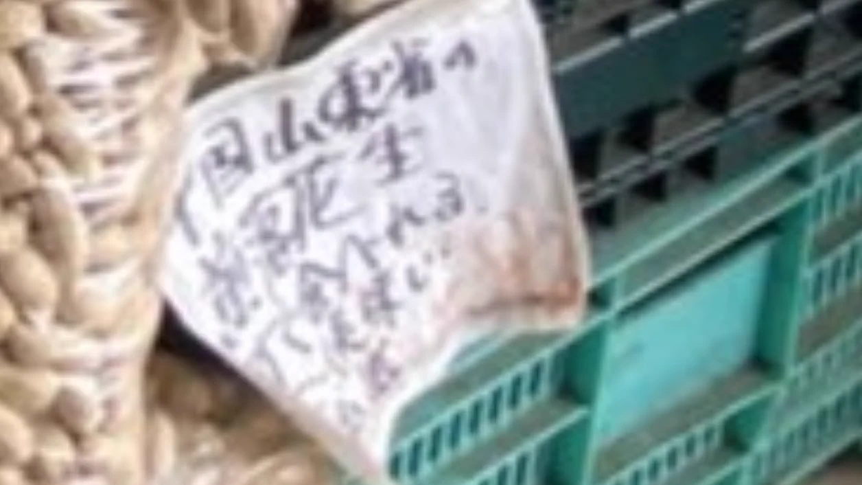 @WANIGUNNSOU 八街産じゃない、だと…！？ 