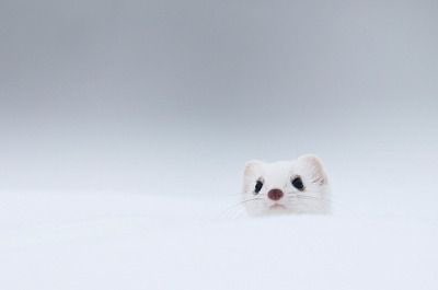 옹람지🐿 tweet media