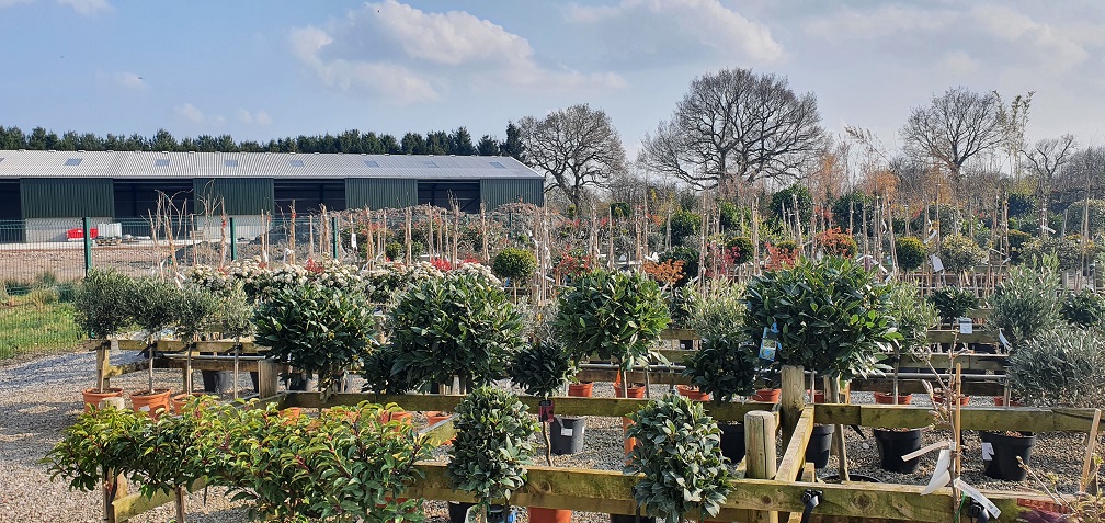 Grasslands Nursery tweet media