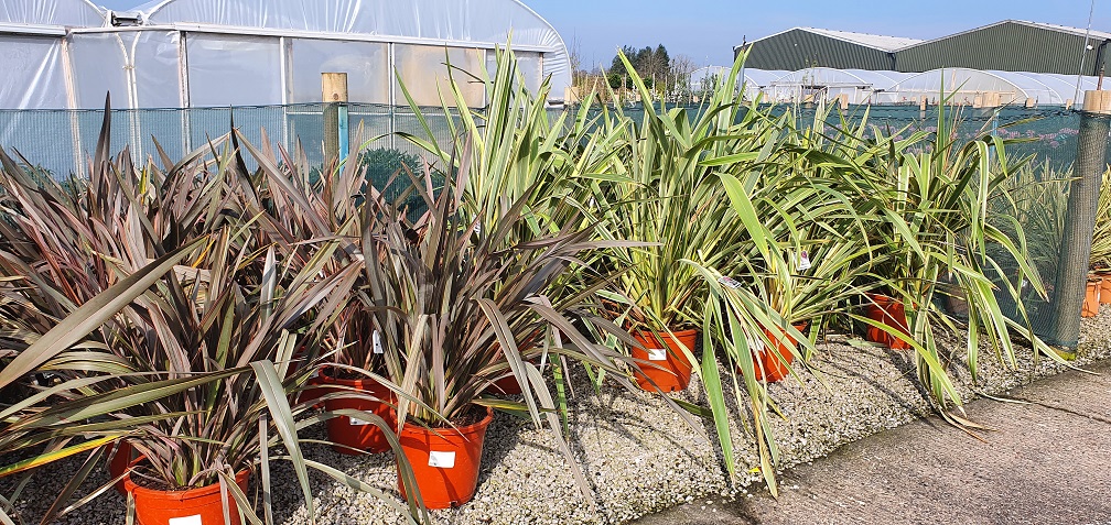 Grasslands Nursery tweet media