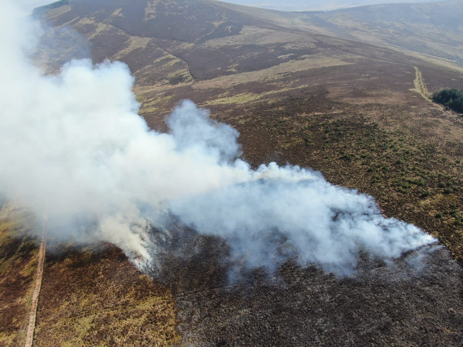 Department of Housing, Local Government & Heritage on Twitter "noonan