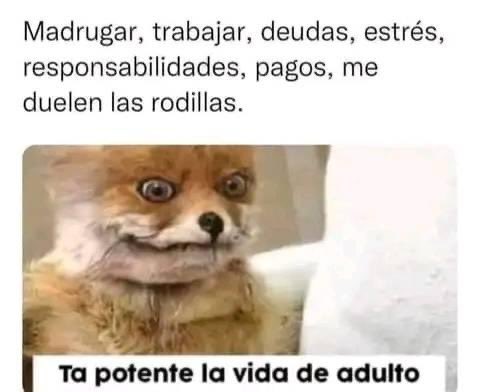 SoyBrenVita's tweet photo. https://t.co/ekNitAfxdU