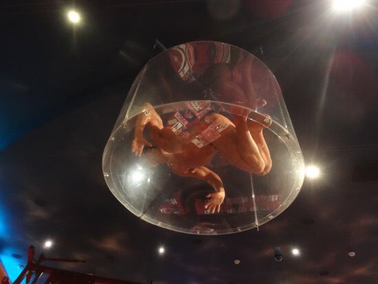 adam_piron's tweet photo. the only detail i remember from all of the birthday parties i attended as a kid was when on of my best friends turned 9. his mom took us to the Planet Hollywood in Phoenix and we were seated at a table underneath this suspended, body double prop of Stallone from DEMOLITION MAN. https://t.co/Zovgm5Wlc5