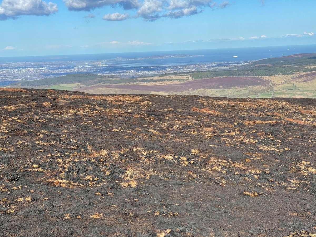 Minister Noonan said: "Let's be clear. These fires do not occur naturally. They’re set deliberately, with no concern for the wide-ranging impacts on local people’s health and wellbeing, private property, tourism, emergency services, the defence forces and indeed the public purse"