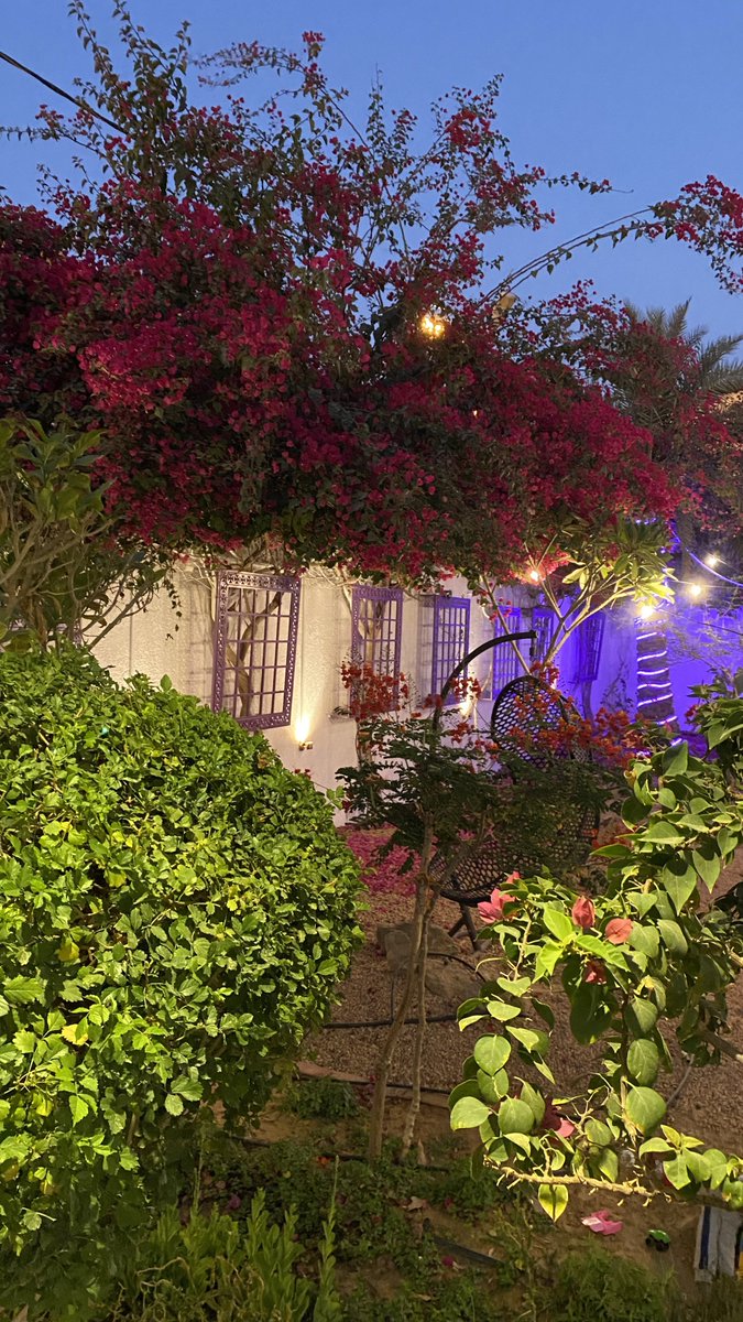 COURT__YARD's tweet photo. وحده #الربيع يلون الحياه، 
وحده #الربيع يرسم الفرح.

#اپريل
#نيسان
#April 
#فصل_الربيع
#Spring_Season
#Gardening https://t.co/99T37VbySA