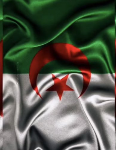 alger_hanan's tweet photo. #Replay_Algeria_Cameroon https://t.co/uYhNSFEoqT