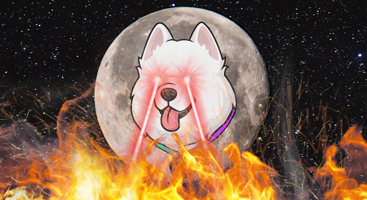 samoyedcoin's tweet photo. HOT DIGGITY DOG! Another 500M $SAMO ($11.5M) BURNED!😱

In case you forgot, we're burning 500M SAMO every month until August 2022! 🔥

The best has yet to come, fam. 😉

Proof-of-Burn 👉 https://t.co/T9cBxGagu7 https://t.co/DvRqKUJzqV