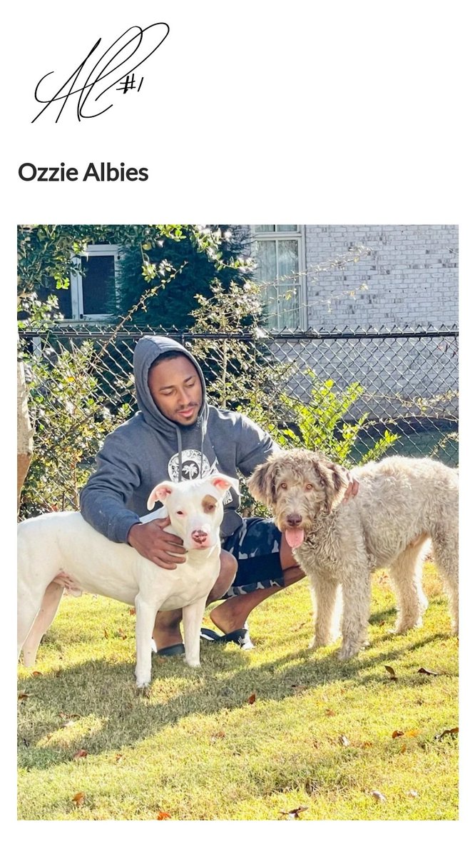 ambergoesviolin's tweet photo. .@ozzie is my new favorite Brave and it's not even close. #Baseball #Dogs #Naps https://t.co/3rSGAq7eMC