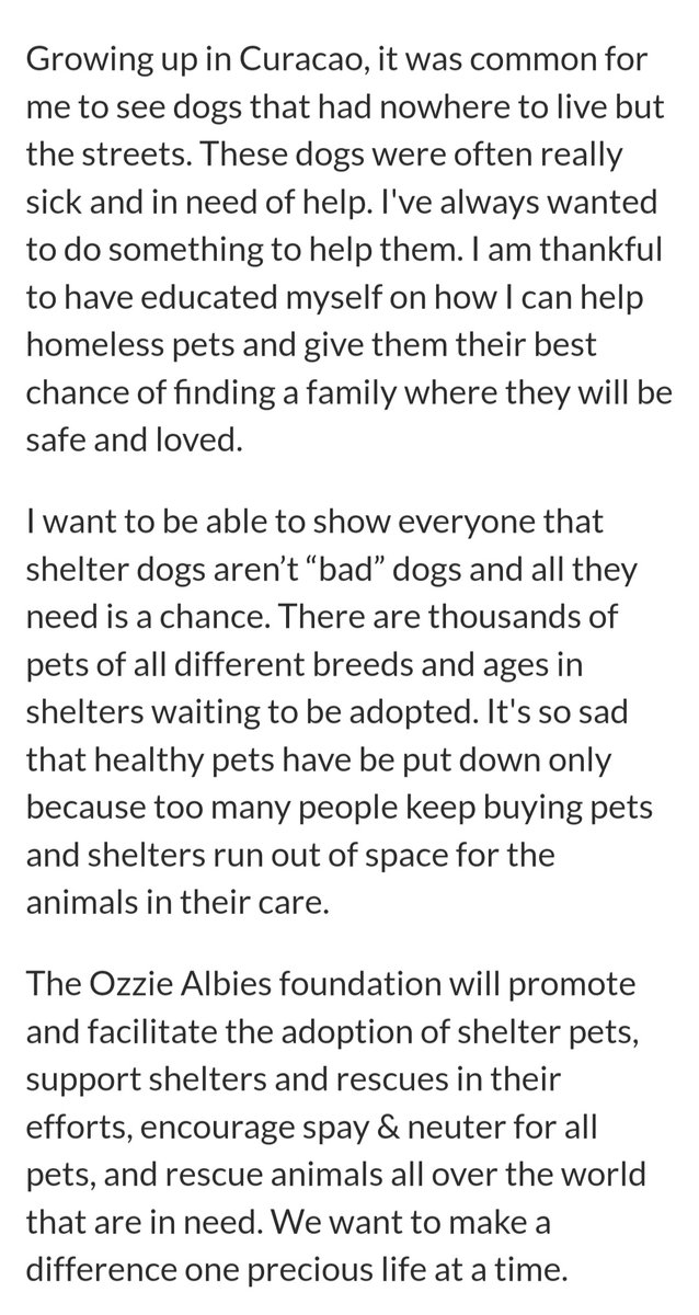 ambergoesviolin's tweet photo. .@ozzie is my new favorite Brave and it's not even close. #Baseball #Dogs #Naps https://t.co/3rSGAq7eMC