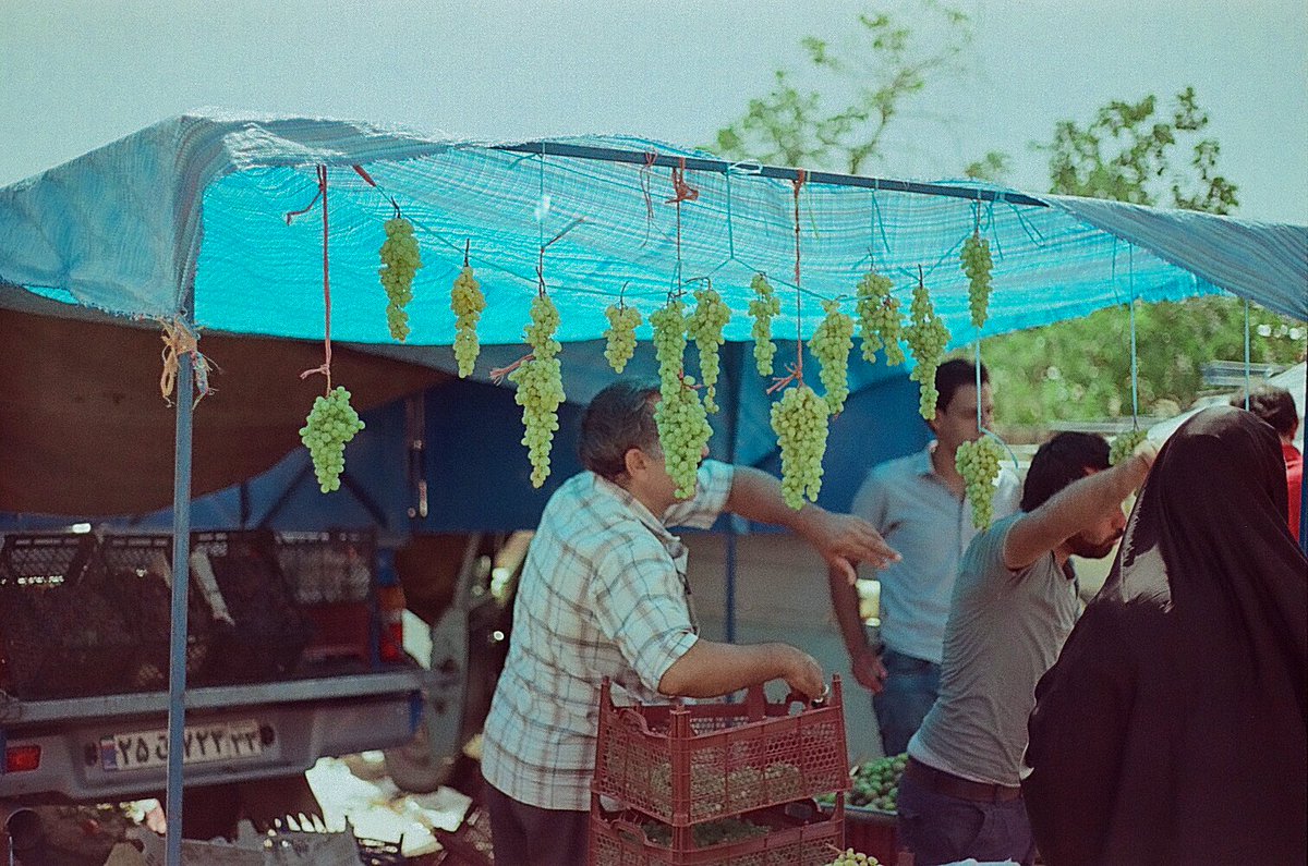 #3 The artist is <a href="/Egarsreal/">Negar K</a>, a photographer and storyteller from Iran.

Free sun
objkt.com/asset/hicetnun…
16 ed. - 5 $XTZ

GreenGrapes
objkt.com/asset/hicetnun…
20 ed. - 4 $XTZ