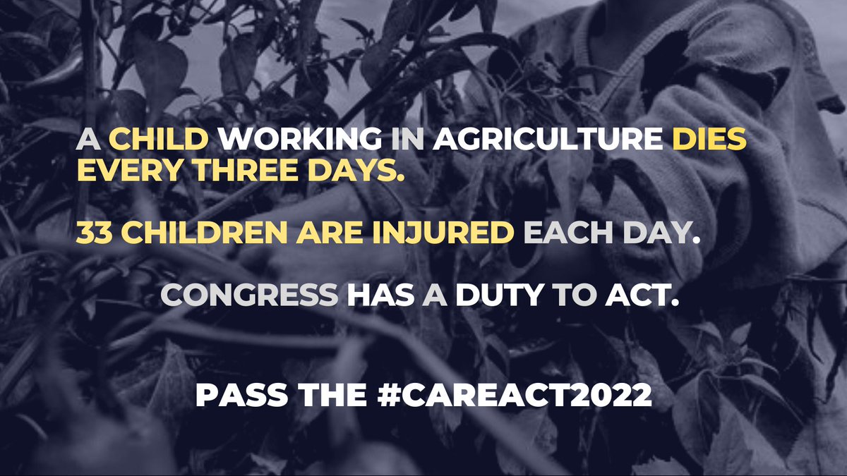 theharvestdoc's tweet photo. It’s past time for Congress to meet its moral obligation of ensuring that every working child in America enjoys equal protection under the law. The #CareAct2022 was introduced today by @RepRoybalAllard and @RepRaulGrijalva

#ChildLabor #Farmworkers https://t.co/M1iivMXMT3