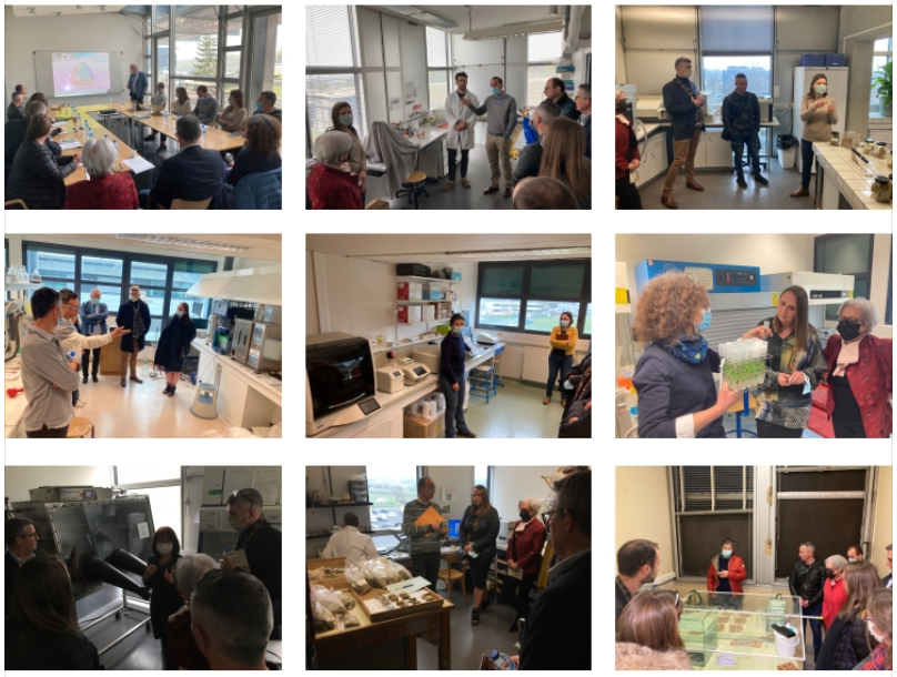 EXEBIO_PIA's tweet photo. Retour en images sur une journée de visites et d'échanges entre le @GrandReims et les laboratoires du Pôle #AEBB de l'@universitereims
@FARE_Reims @AfereChaire @ComGegenaa @ICMR_UMR7312 #SEBIO #RIBP https://t.co/xnulQixFz7