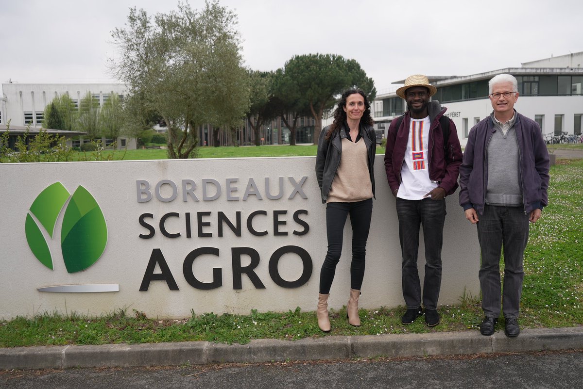 Oulaï Daniel tweet media