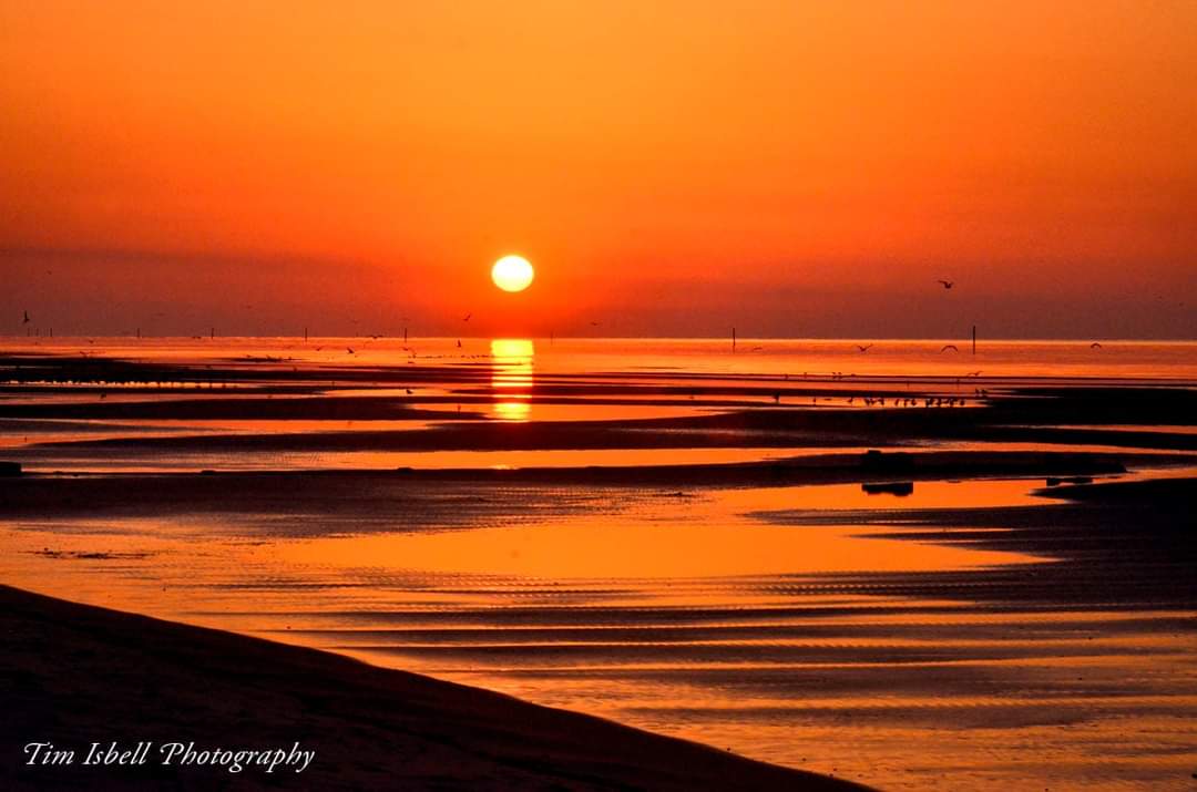 Tim Isbell tweet media