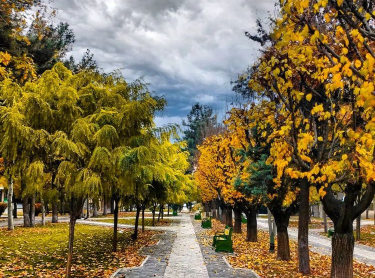 Tarbiat Modares University🏢 tweet media