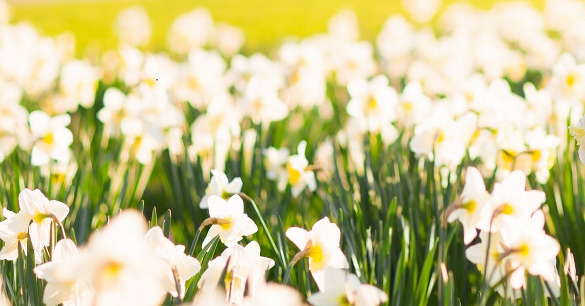 With the Easter bank holidays fast-approaching, make sure you’re on top of those important non-processing dates: bit.ly/3uFoWRT