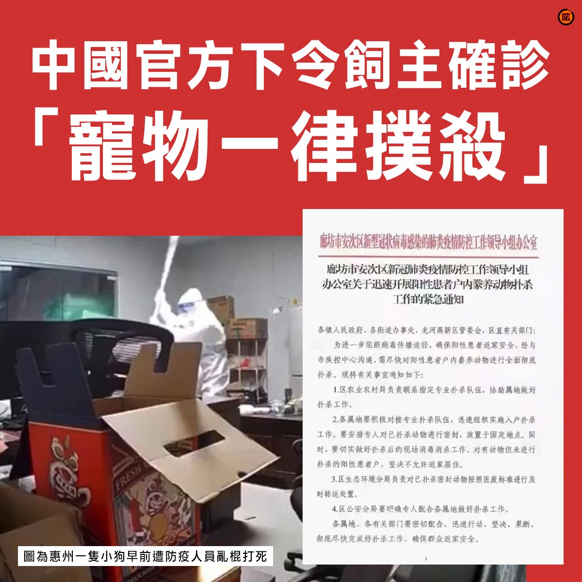 M2C_MCC's tweet photo. 悲哀的西台灣寵物，願你早登極樂 https://t.co/XE0ykCcvzU